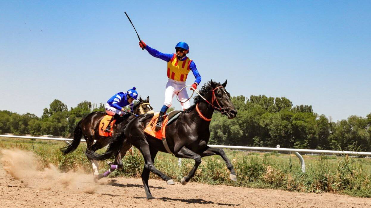 Mastering Fantasy Equestrian Sports with Insights